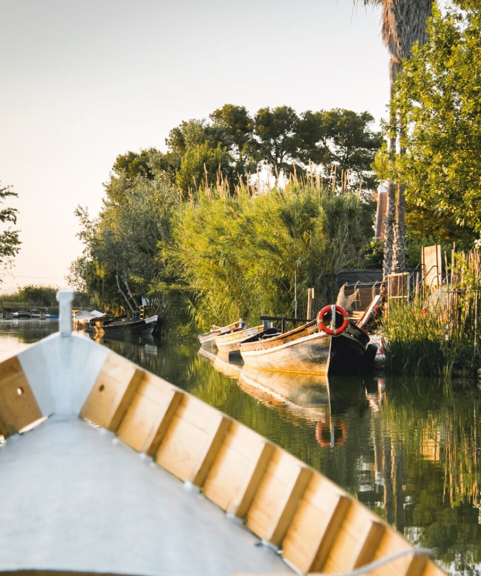 Paseo en barca por la Albufera