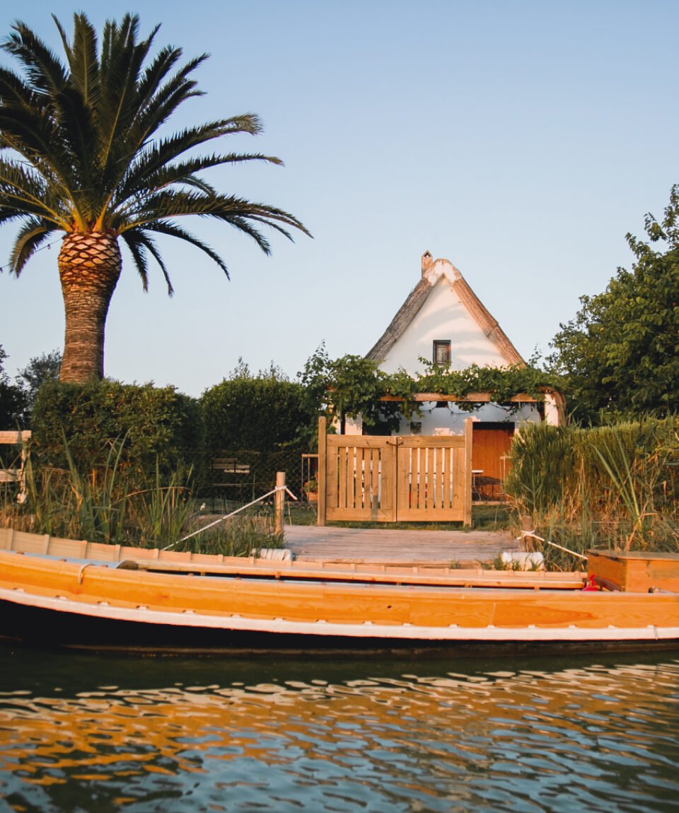 Paseo en barca por la Albufera