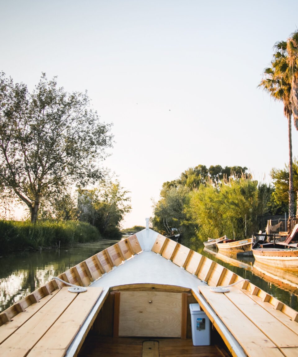 Paseo en barca por la Albufera