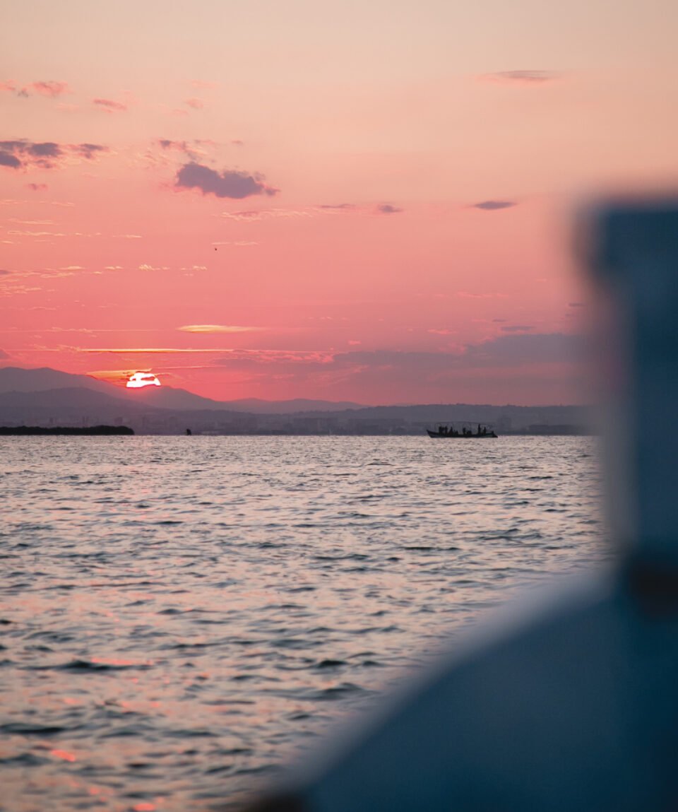 Paseo en barca por la Albufera