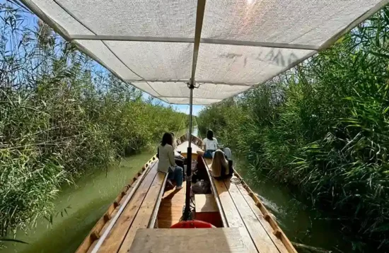 Paseo por la albufera en barca compartido
