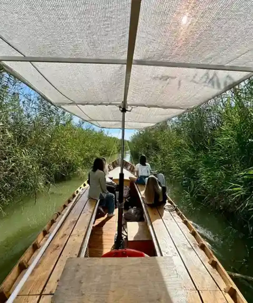 paseo-por-la-albufera-en-barca-compartido
